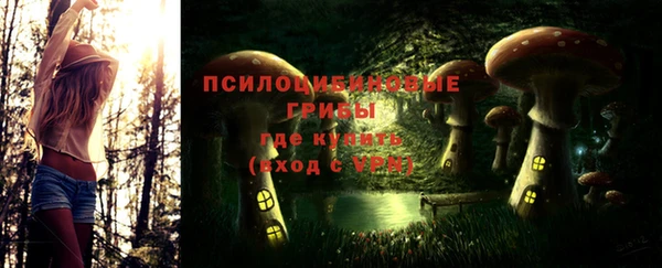 таблы Богородск
