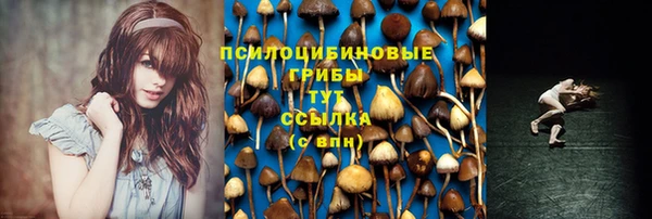 таблы Богородск